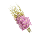 گل ارکیده دندروبیوم ساکورا